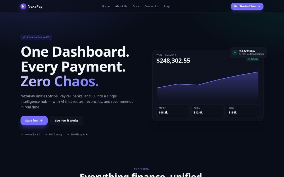 NexaPay financial intelligence hub