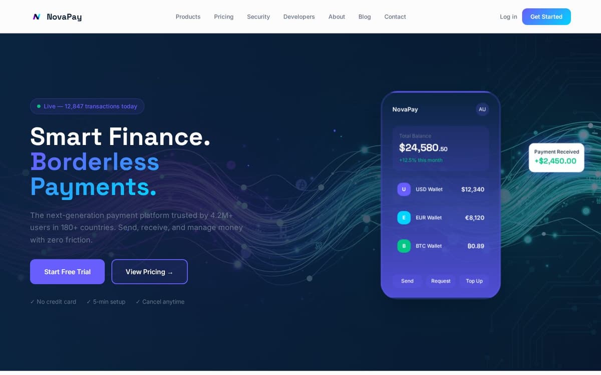 NovaPay borderless payments hero